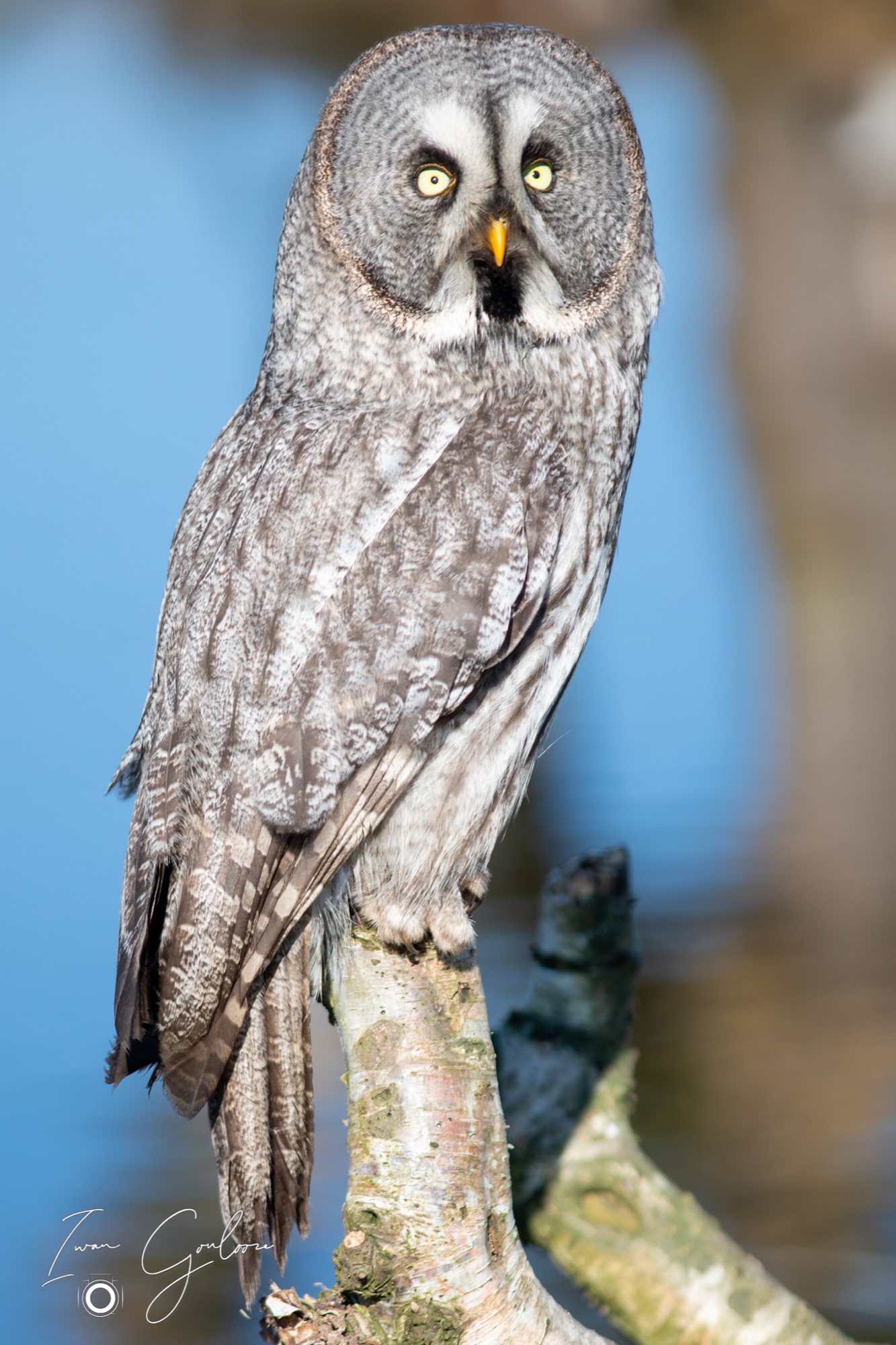 04 maart 2022 153143  5D44172